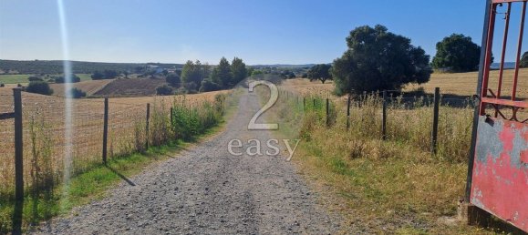 Grundstück in Selmes, Portugal 40000m², Nr. 42419 2