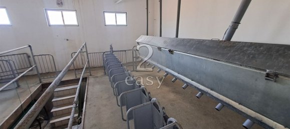 Grundstück in Selmes, Portugal 40000m², Nr. 42419 32