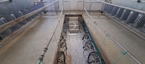 Grundstück in Selmes, Portugal 40000m², Nr. 42419 28