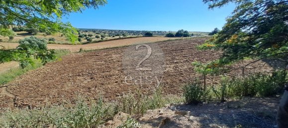 Grundstück in Selmes, Portugal 40000m², Nr. 42419 54