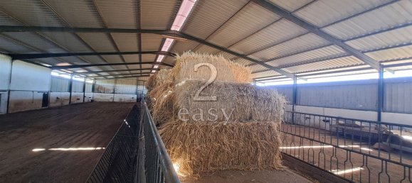 Grundstück in Selmes, Portugal 40000m², Nr. 42419 71