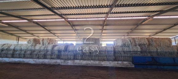 Grundstück in Selmes, Portugal 40000m², Nr. 42419 69