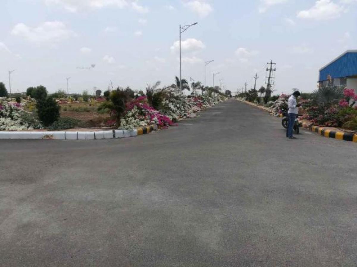  Land in Guntur, India No. 31280