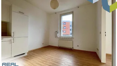 1 bedroom Apartment in Linz, Austria No. 204328