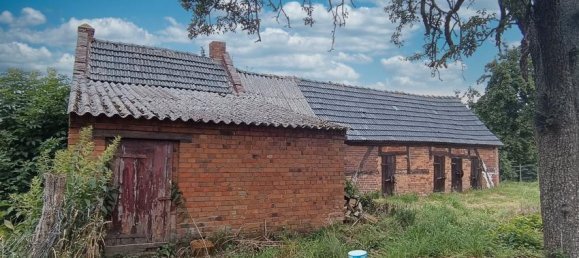 Casa de 6 divisões em Prignitz, Germany N.º 45444 5