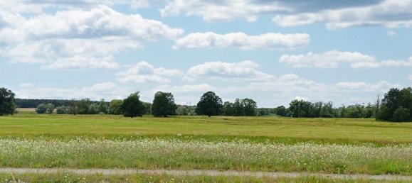 Casa de 6 divisões em Prignitz, Germany N.º 45444 8