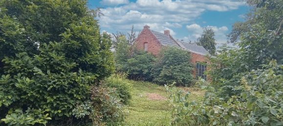 Casa de 6 divisões em Prignitz, Germany N.º 45444 7