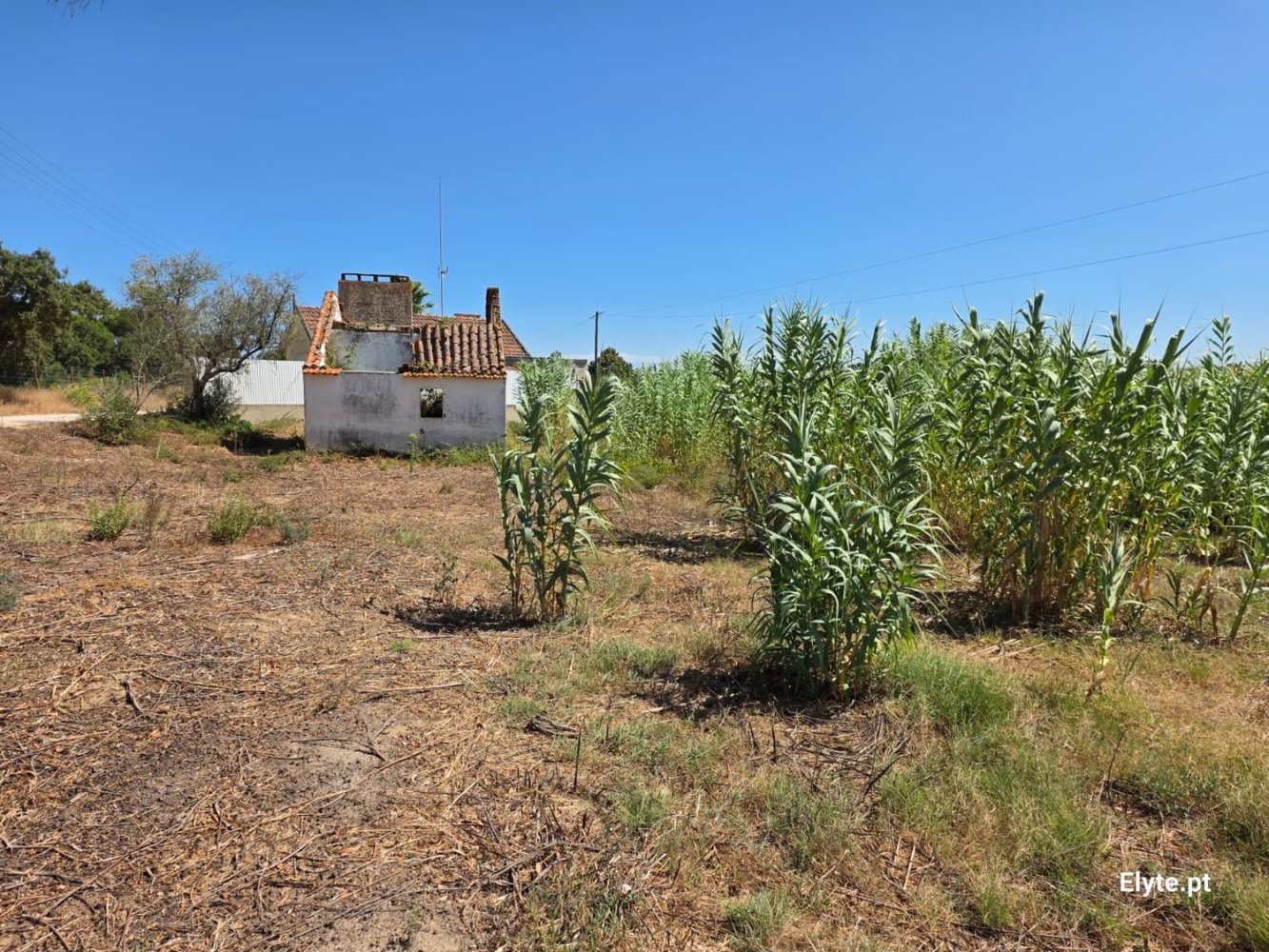 2 bedrooms House in Coruche, Portugal No. 329518