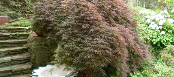 4 chambres Maison à Linz, Austria No. 174281 15