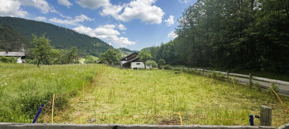 3-Zimmer Haus in Neunkirchen, Austria, Nr. 149118 4