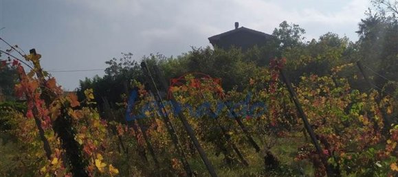 5-Zimmer Haus in Ziano Piacentino, Italy, Nr. 103910 16