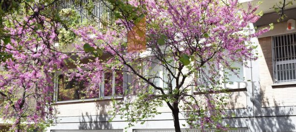 4-Zimmer Wohnung in Rome, Italy, Nr. 111361 23