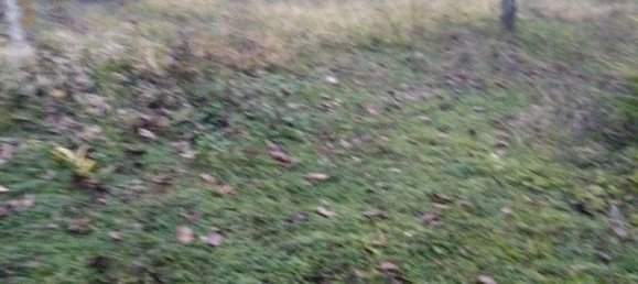 7-Zimmer Haus in Pavullo nel Frignano, Italy, Nr. 73260 24