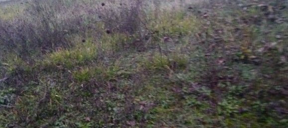 7-Zimmer Haus in Pavullo nel Frignano, Italy, Nr. 73260 25