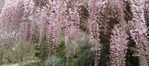 6 rooms Villa in Massarosa, Italy No. 159138 7