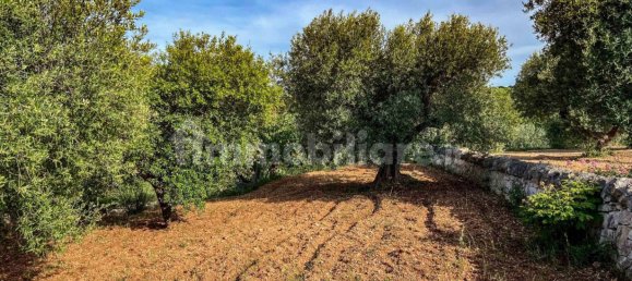 1 bedroom Villa in Putignano, Italy No. 173661 3