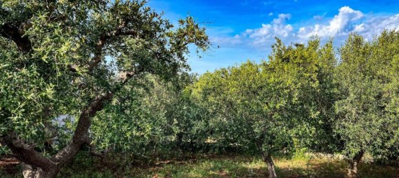 1 bedroom Villa in Putignano, Italy No. 173661 2