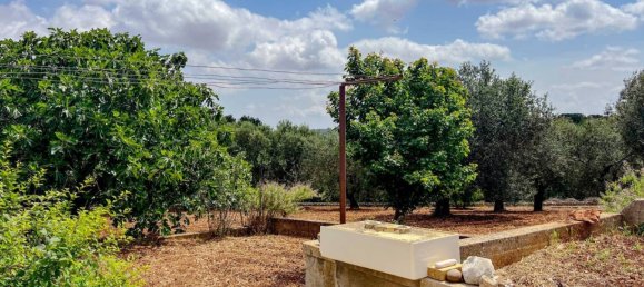 1 bedroom Villa in Putignano, Italy No. 173661 14