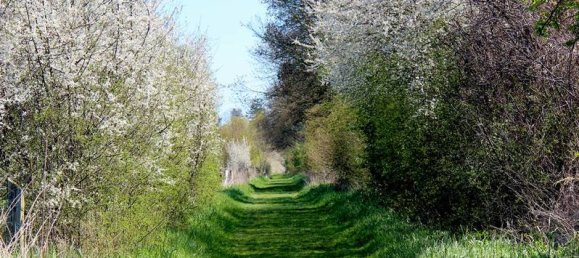 Adosado de 3 dormitorios en Heidekreis, Germany No. 227045 2