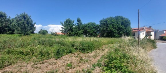 Grundstück in Viana do Castelo, Portugal 8227m², Nr. 78513 20