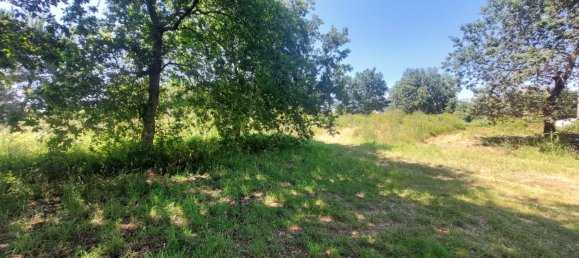 Grundstück in Viana do Castelo, Portugal 8227m², Nr. 78513 16