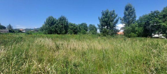 Grundstück in Viana do Castelo, Portugal 8227m², Nr. 78513 2