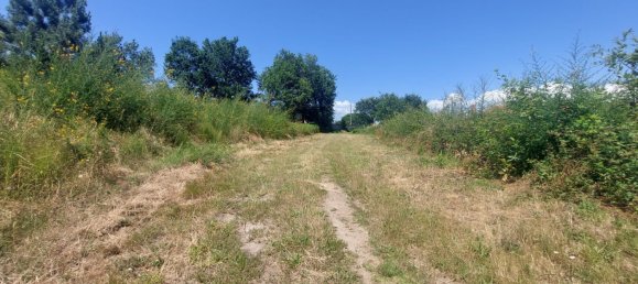 Grundstück in Viana do Castelo, Portugal 8227m², Nr. 78513 9