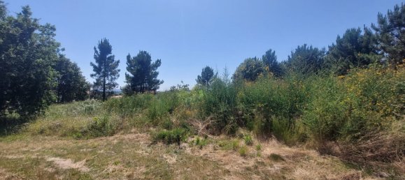 Grundstück in Viana do Castelo, Portugal 8227m², Nr. 78513 17