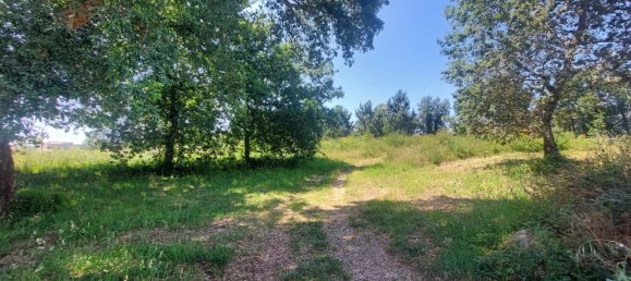 Grundstück in Viana do Castelo, Portugal 8227m², Nr. 78513 8