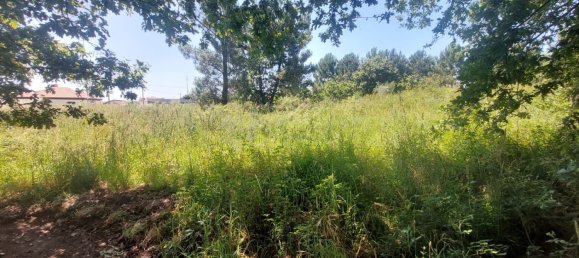 Grundstück in Viana do Castelo, Portugal 8227m², Nr. 78513 14