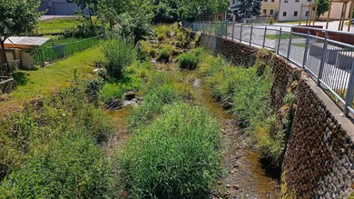 Studio in Neumarkt am Wallersee, Austria No. 154614