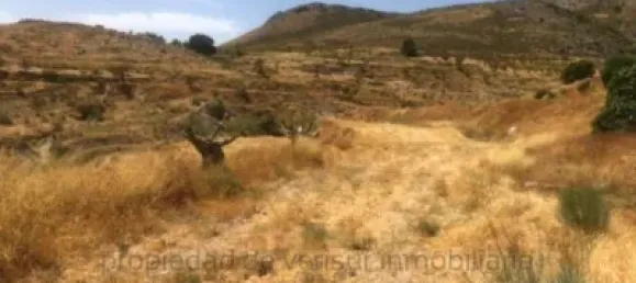 Grundstück in Lorca, Spain, Nr. 141771 4