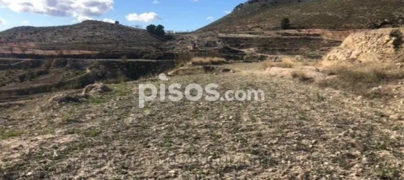 Grundstück in Lorca, Spain, Nr. 141771 2