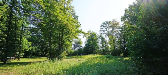 5-Zimmer Schlösser in Penzing, Austria, Nr. 23870 5