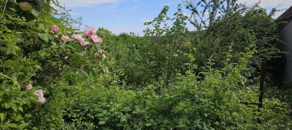 350m² Land in Mutzig, France No. 218957 3