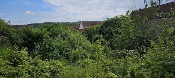 350m² Land in Mutzig, France No. 218957 2