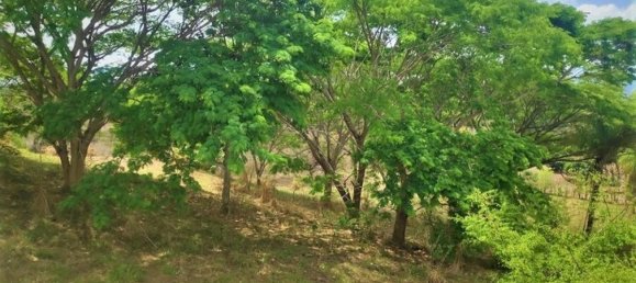 Дом с 3 спальнями в Гарабито, Коста-Рика № 786 6