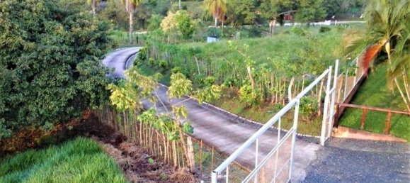 Дом с 3 спальнями в Гарабито, Коста-Рика № 786 4