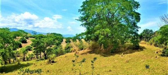 Дом с 3 спальнями в Гарабито, Коста-Рика № 786 5