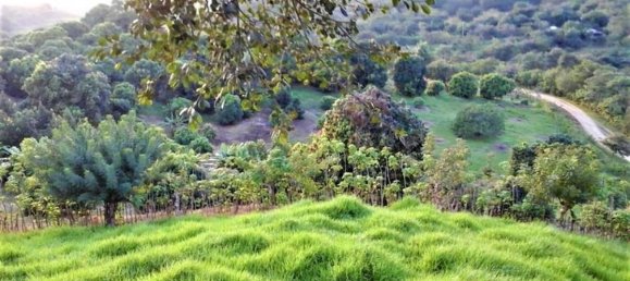 Дом с 3 спальнями в Гарабито, Коста-Рика № 786 3