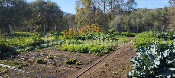 4 غرف نوم فيلا في Sardinia, Italy رقم 276391 33