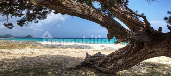 4 غرف نوم فيلا في Sardinia, Italy رقم 276391 35