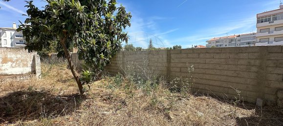 9 bedrooms House in Sao Bras de Alportel, Portugal No. 37048 14