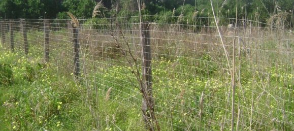 800m² Land in Pachino, Italy No. 60373 5