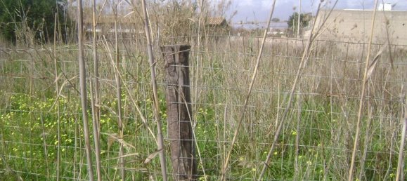 800m² Land in Pachino, Italy No. 60373 6