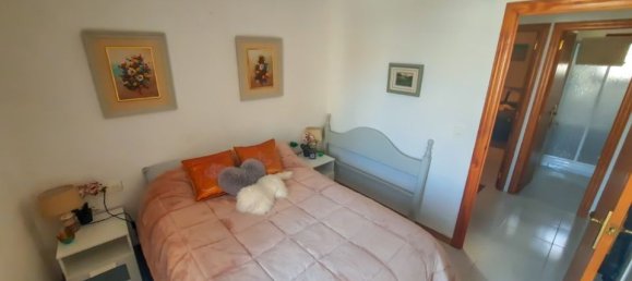 2 bedrooms Townhouse in Torrevieja, Spain No. 186429 16