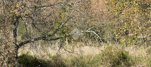 4 rooms Apartment in Santi Cosma e Damiano, Italy No. 103958 27