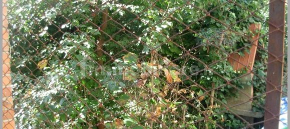 4 bedrooms Apartment in Palaia, Italy No. 349626 42