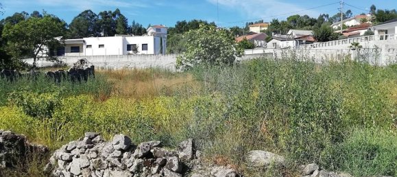 1 غرف نوم منزل في Guimaraes, Portugal رقم 37338 5