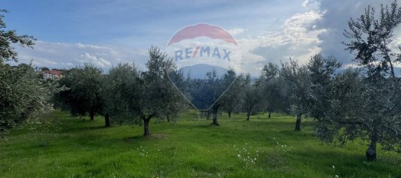 Terreno de 1 divisão em Gualdo Cattaneo, Italy N.º 7074 44